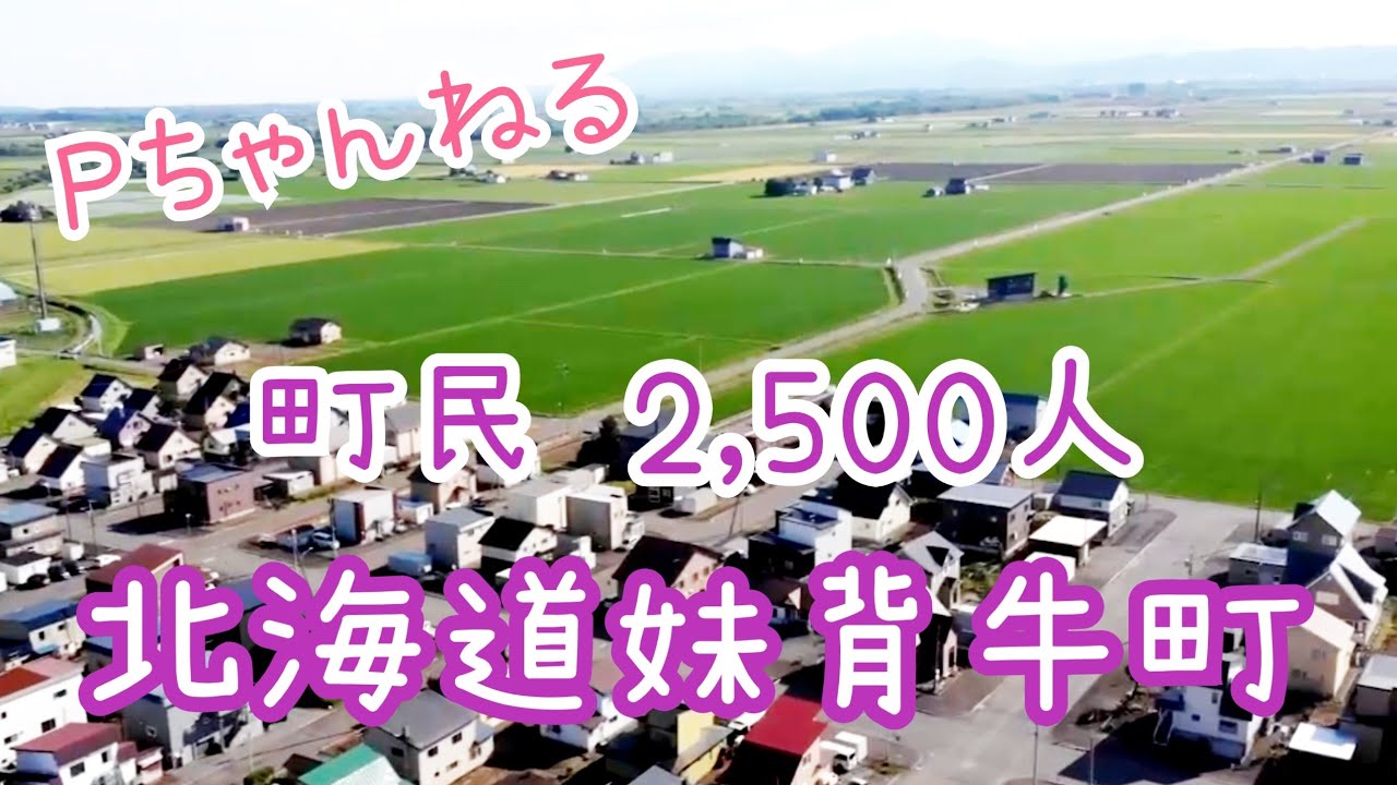 【ドローン撮影】人口2,500人 夏の北海道妹背牛町#ドローン空撮