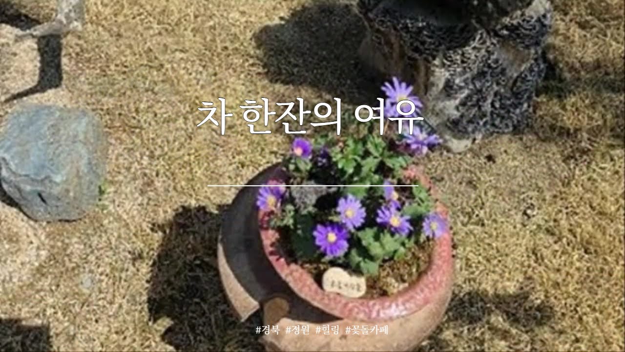 꽃과 차 한잔의 여유