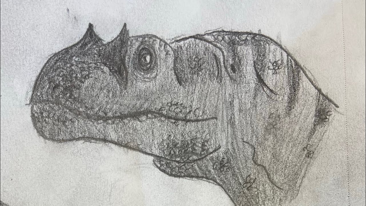 Timelapse of Sketches I’ve done over the years (updated)