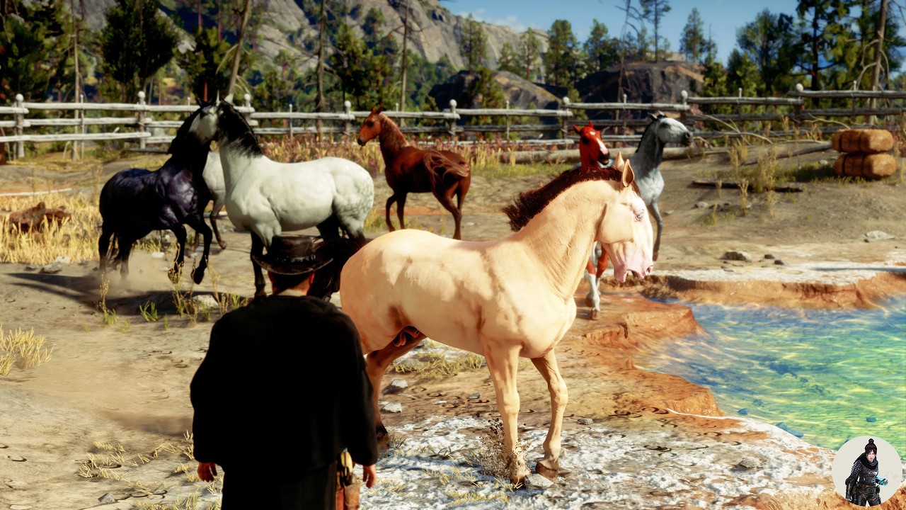 Legendary Tamer |Arthur Morgan Finds 11 Wild Kladruber & Kentucky Saddler Horses at Colorado Springs