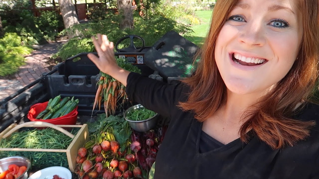 Harvesting Fall Crops! 🍓🥒🥕// Garden Answer