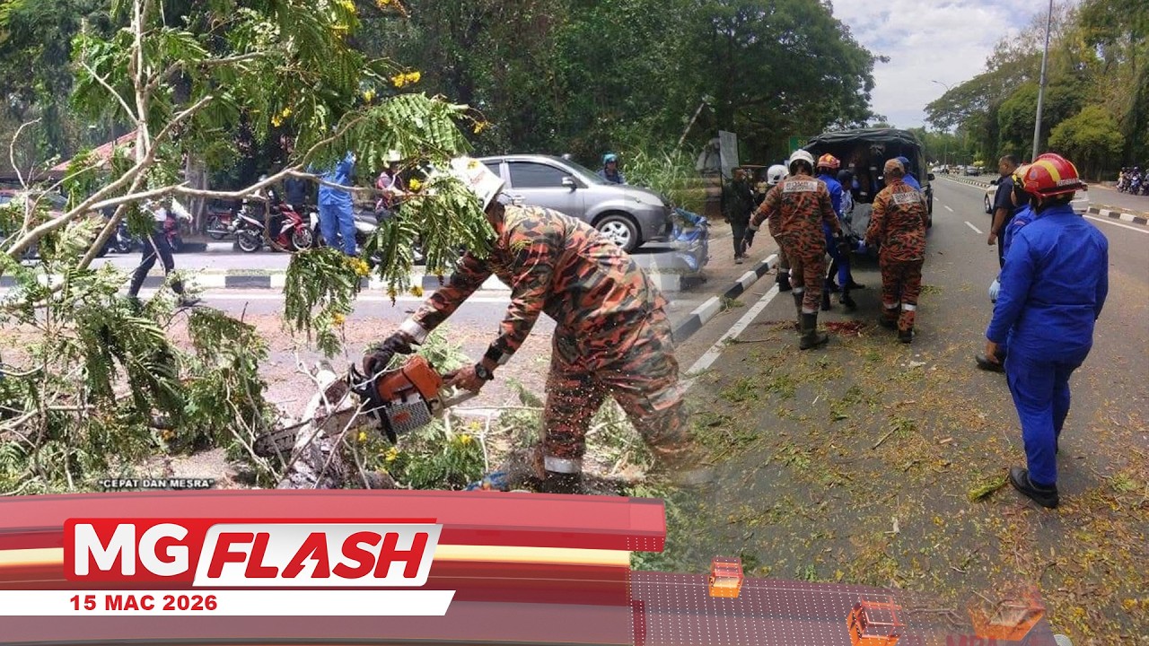 Penunggang Motosikal Maut Dihempap Pokok Tumbang #MGFlash