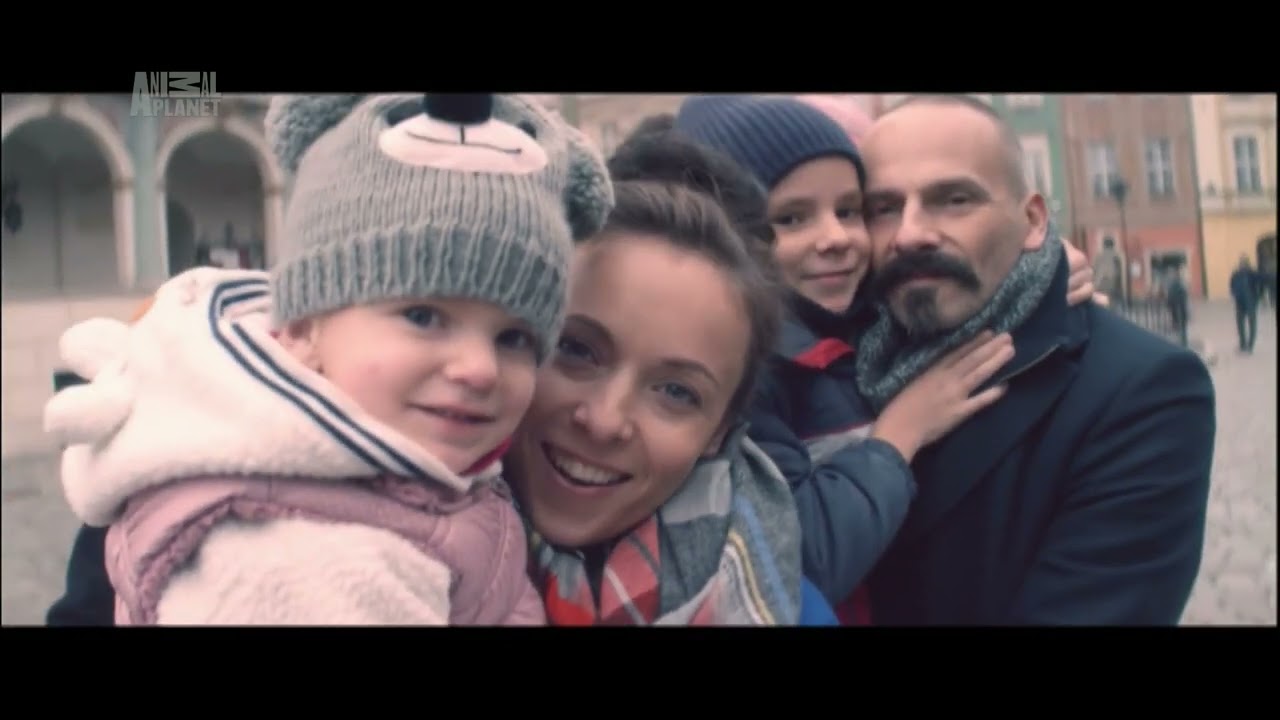 Animal Planet HD - Zapowiedzi i bloki reklamowe - 08.12.2014