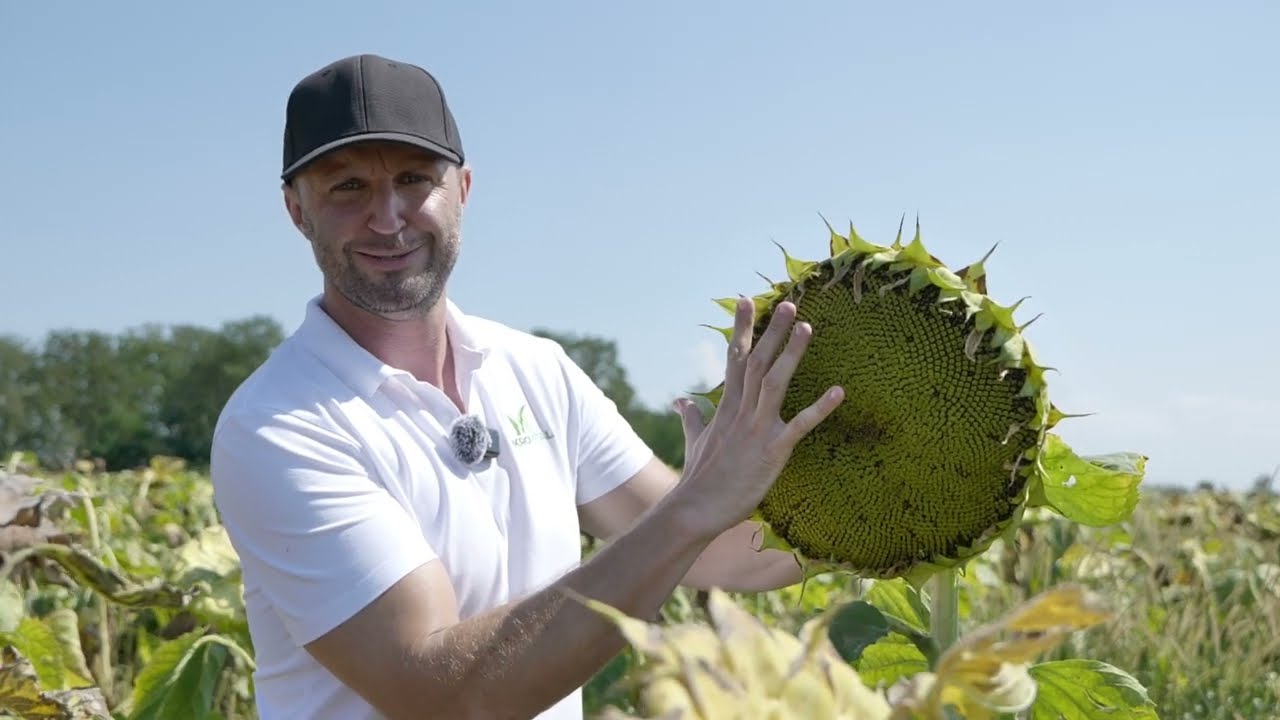 Mikro-Vital kísérleti eredmények Kétegyházáról! 🌾💪🌿