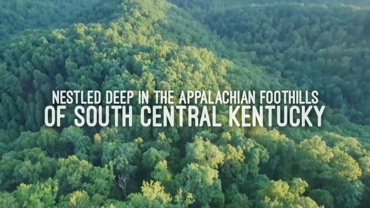 Amazing 150 Acre Prepper Land for Sale in the Cumberland Plateau