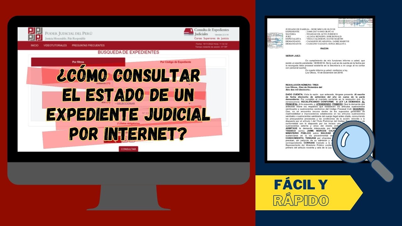 COMO CONSULTAR EL ESTADO DE UN EXPEDIENTE JUDICIAL POR INTERNET
