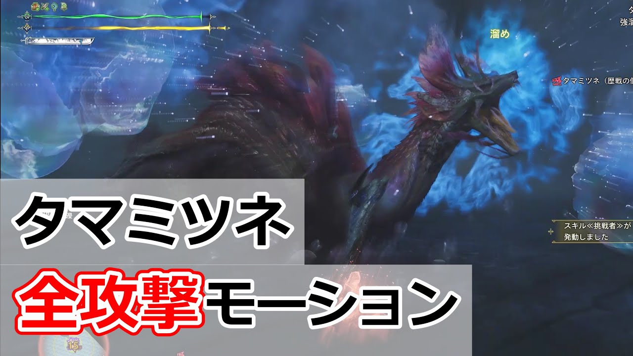 【ワイルズ】 タマミツネ 全攻撃モーション 解説！