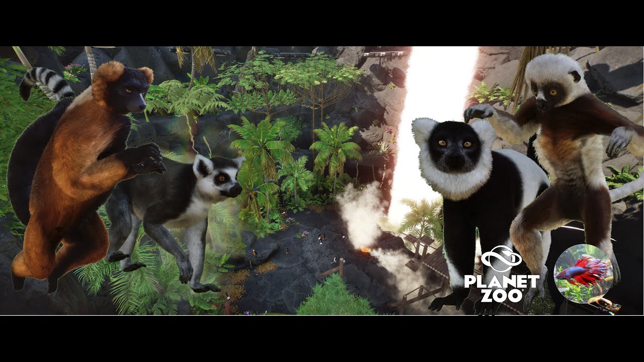 Lemurs 🐒 tropical volcanic caldera with waterfall | Sunndalsfjorden Zoo | Planet ZOO | part 19
