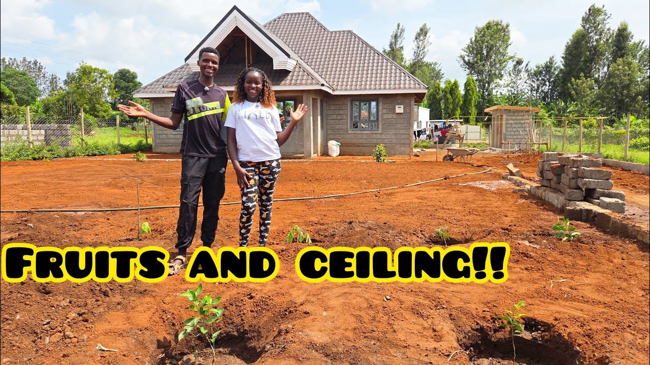 FINALLY  ‼️ PLANTING FRUIT TREES || CEILING INSTALLATION DONE IN OUR DREAM HOME🏕🍈🍎🍋