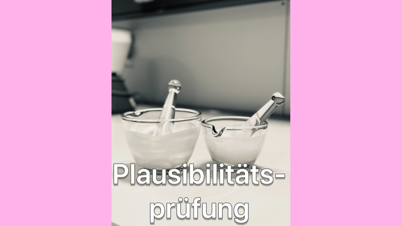 Erklärvideo Plausibilitätsprüfung