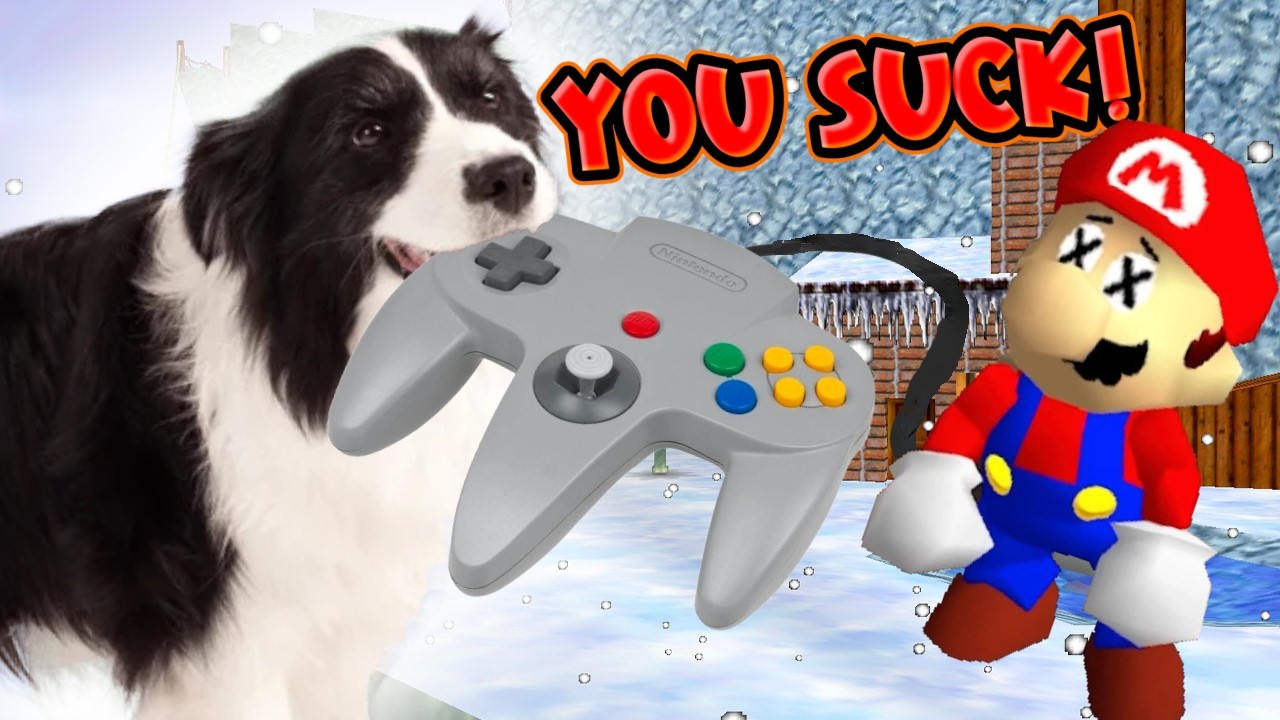 MY DOG RUINED MY SPEEDRUN