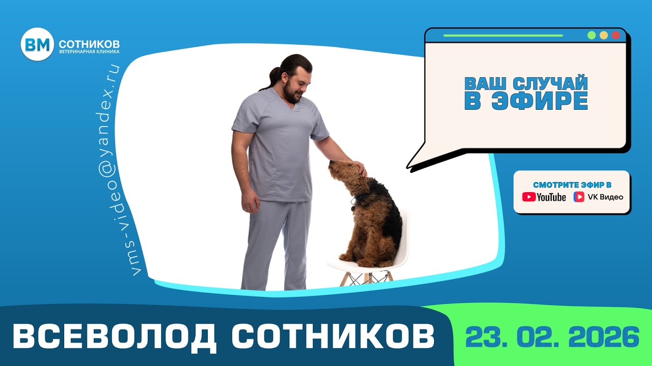 Ваш случай в эфире. Выпуск от 23.02.2026