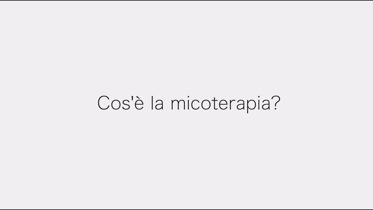 Micoterapia: introduzione alla terapia a base di funghi medicinali