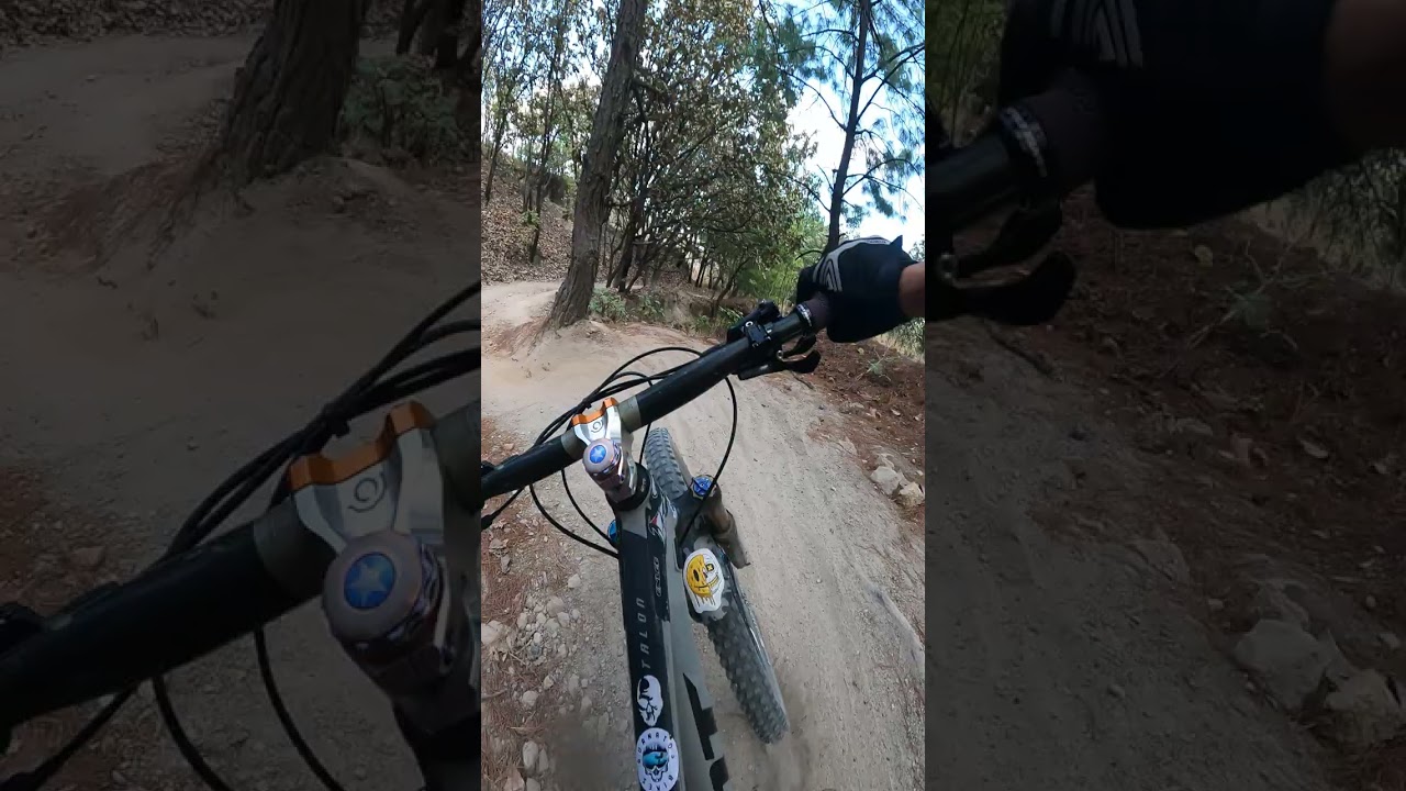 Bosque de la primavera mtb