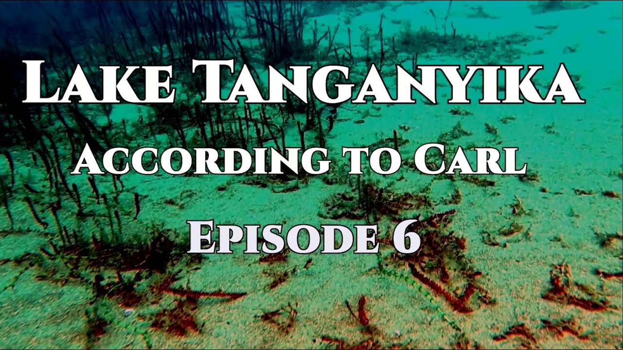 Episode 6 of 