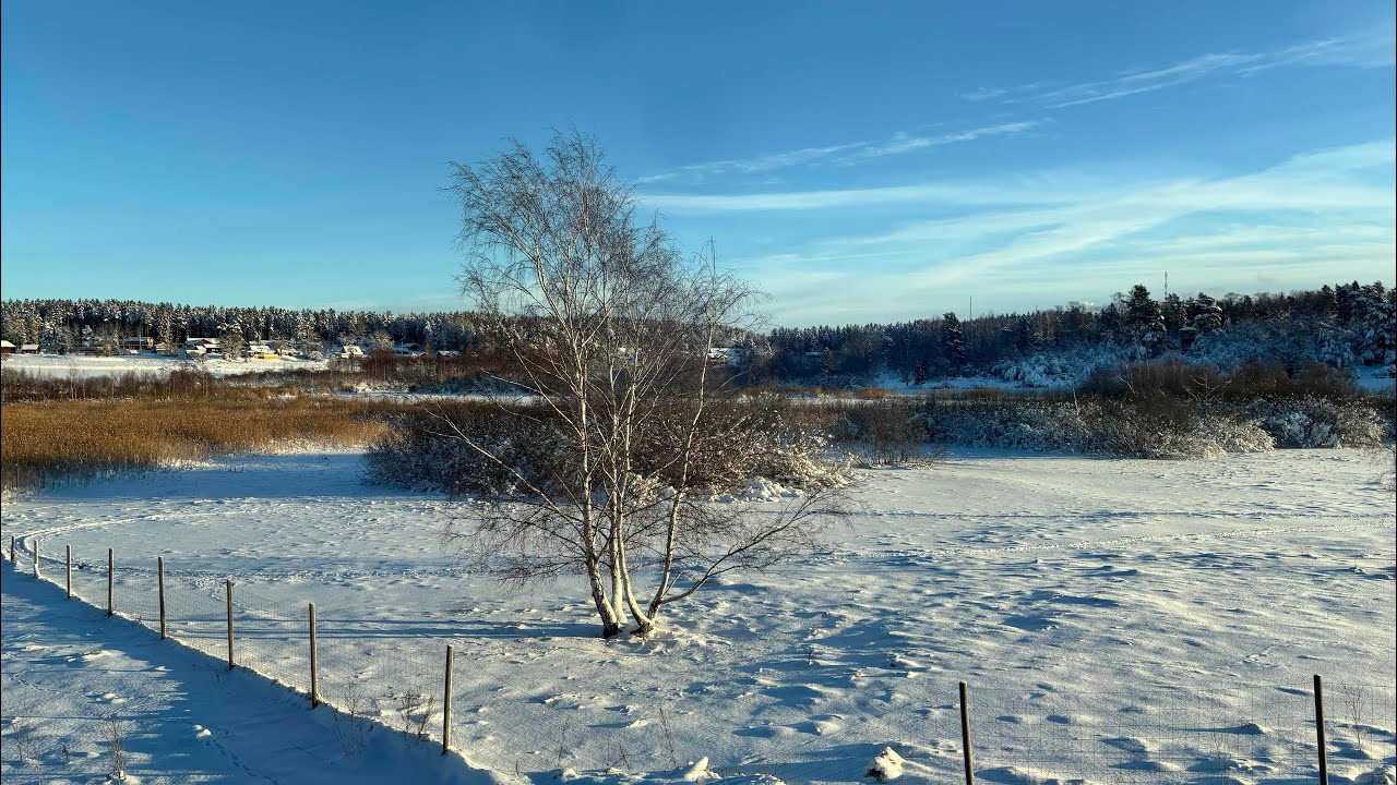 Train to Stockholm | Uppsala to Stockholm
