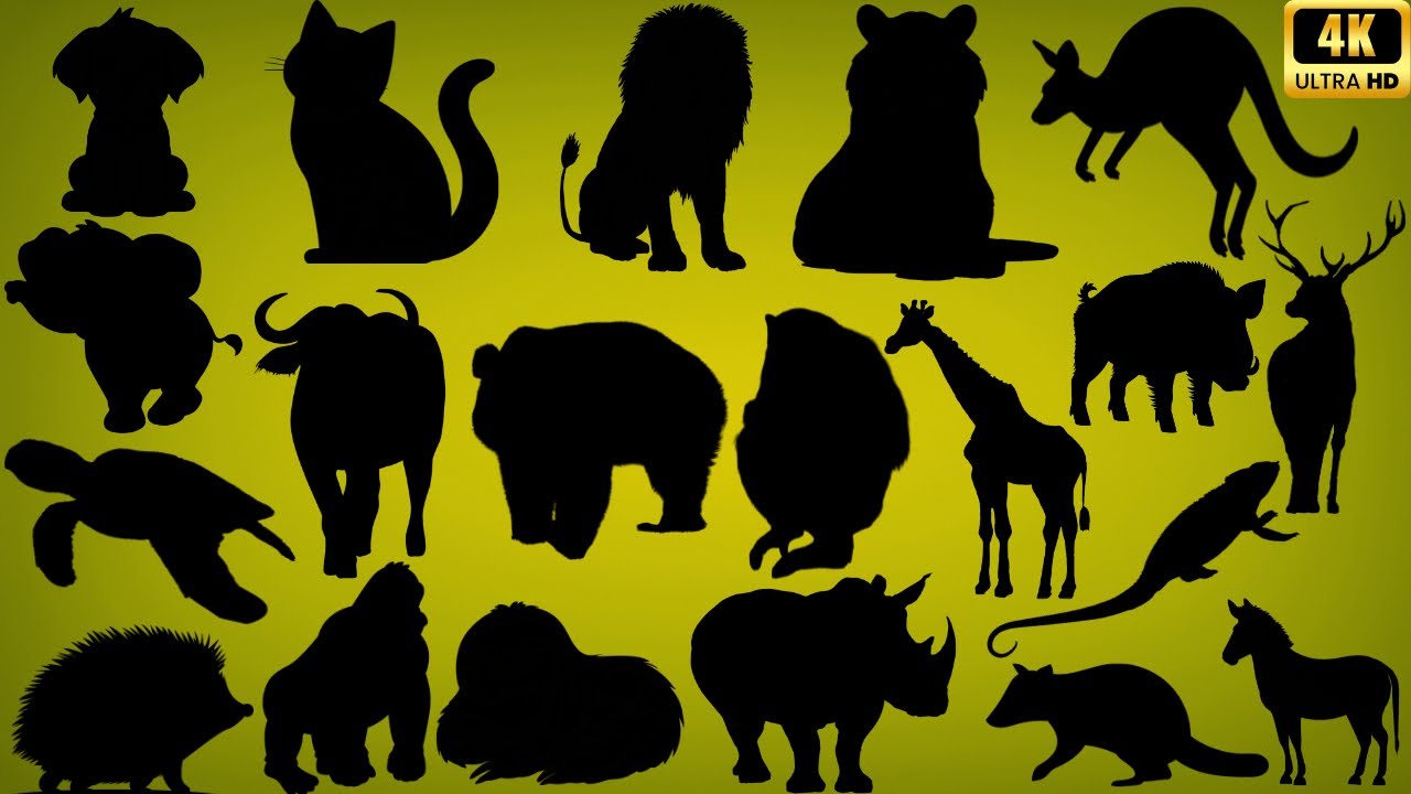 Guess the Animal by Its Shadow! 🐾 60 Fun Shadow Animal Quiz Challenges for Kids & Families