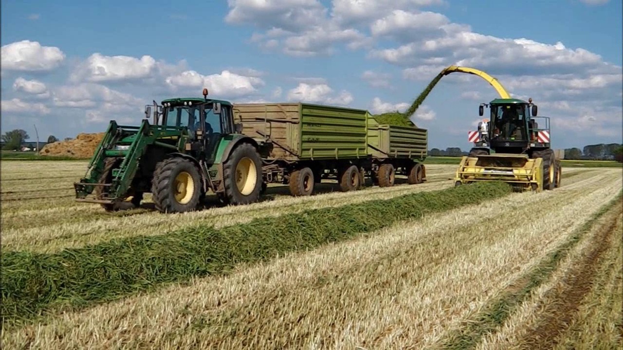Roggen mähen & häckseln mit John Deere, Deutz, Case Teil 3 2017