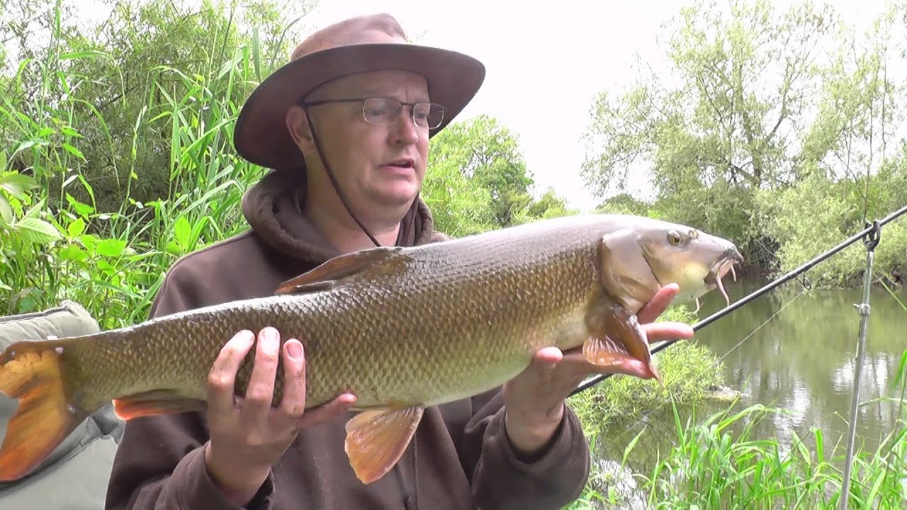Early season severn barbel fishing