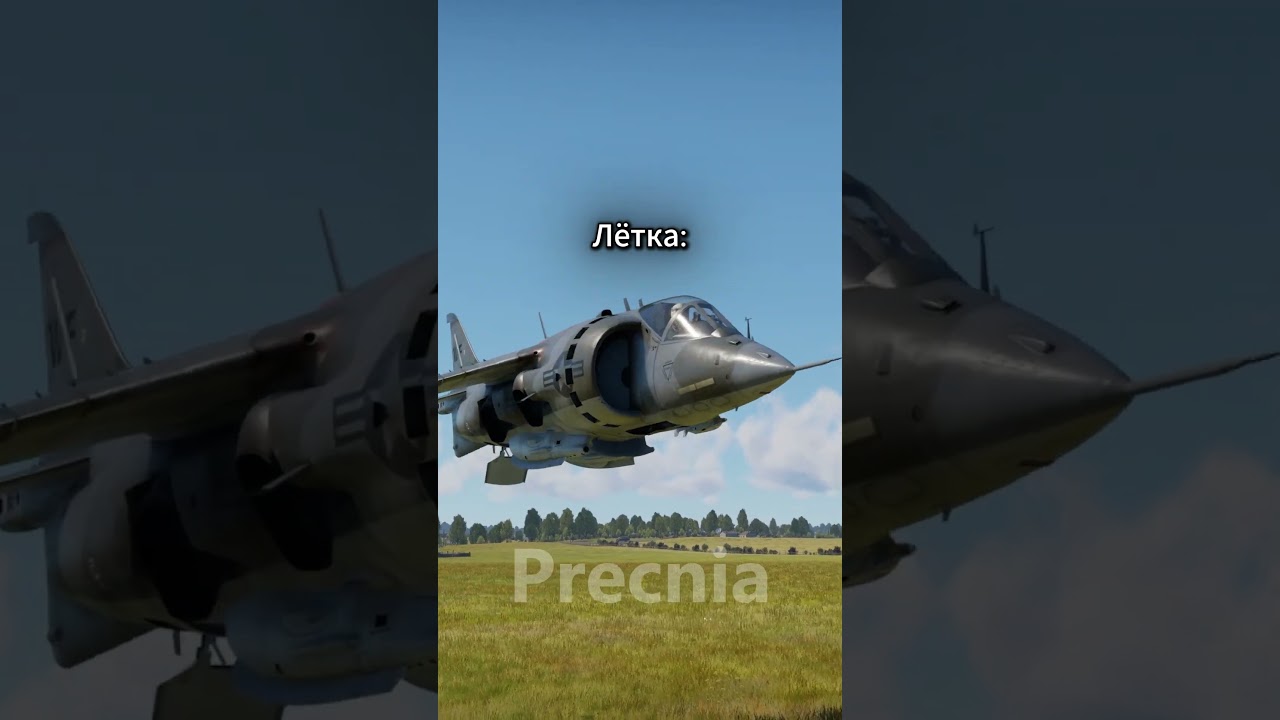 Второй желает чаще  #warthunder  #вартандер #memes #мем