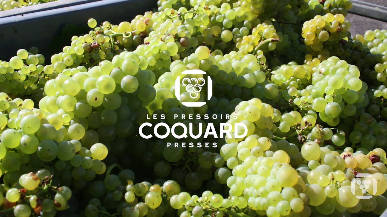 Presses vendanges 2016-2017