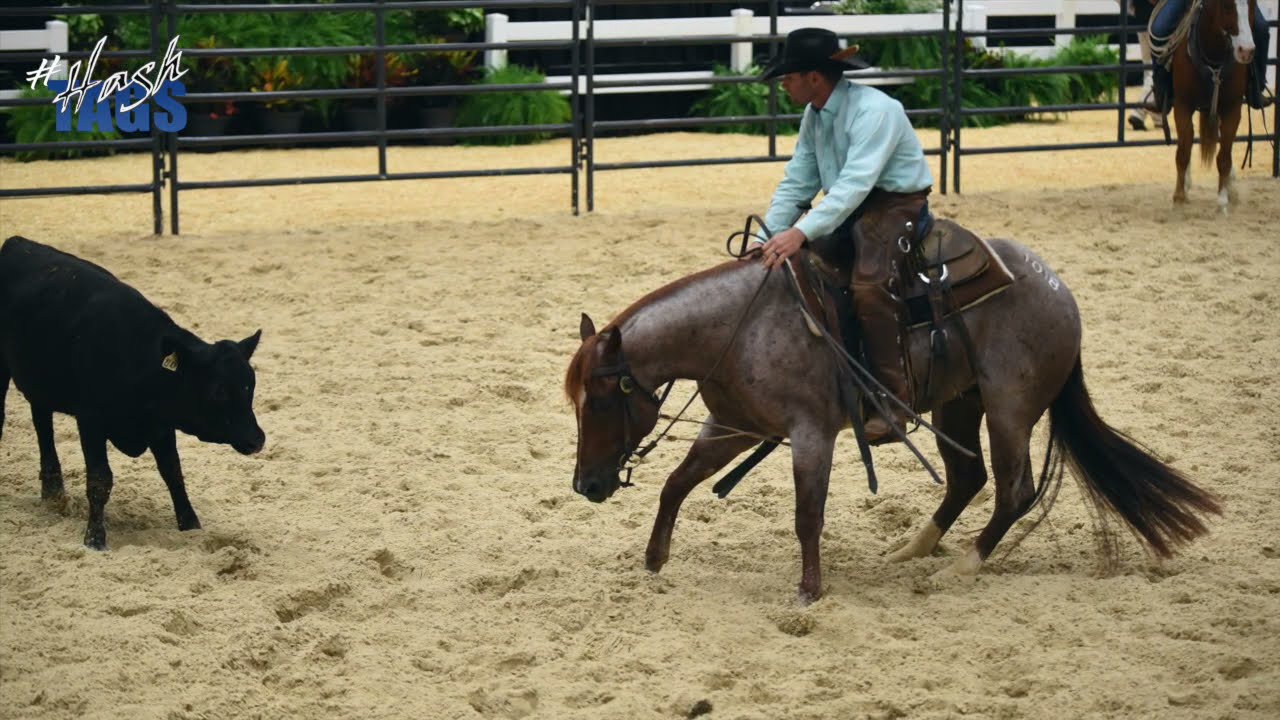 Reysin Sum Hash 2019 Red Roan Stallion Hashtags x Reynanza