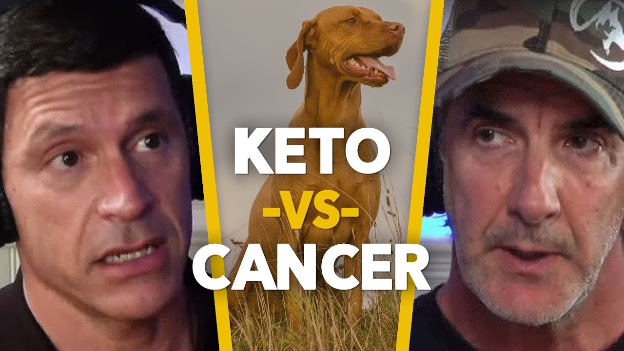 Can Keto Dog Food Cure Cancer? -  EP.73
