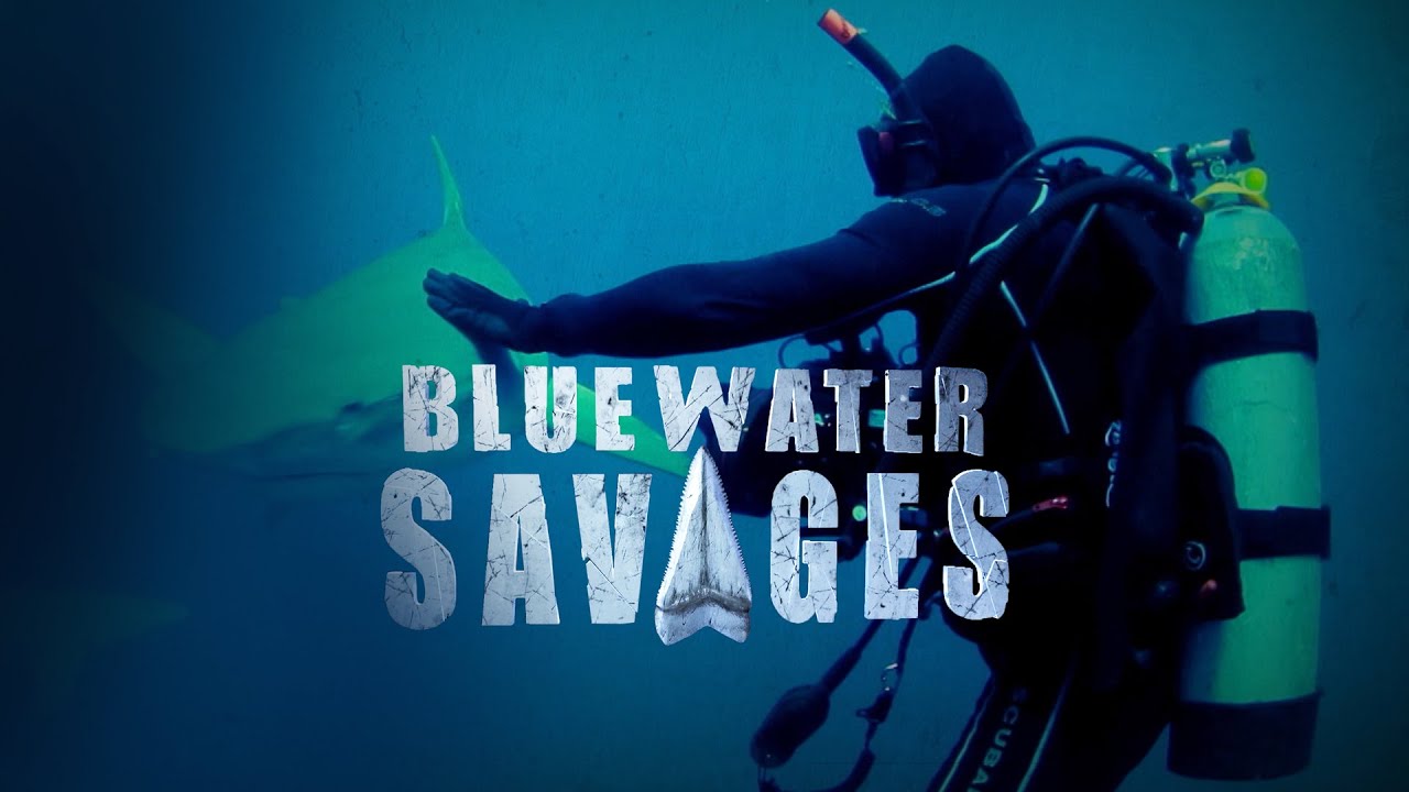 Blue Water Savages: Oceanic Whitetip Shark