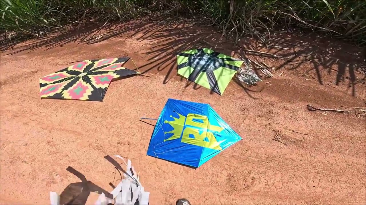 festival com o davi da xepa