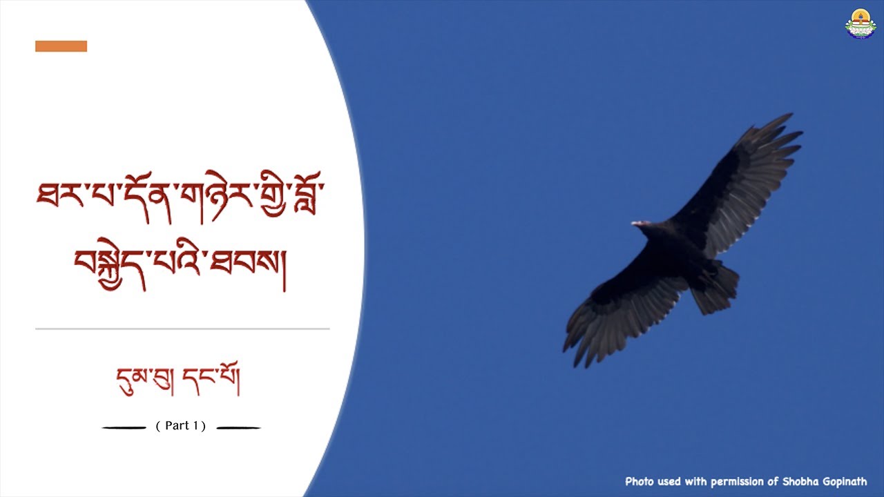 ཐར་པ་དོན་གཉེར་གྱི་བློ་བསྐྱེད་པའི་ཐབས། (Part 1) - Livestream