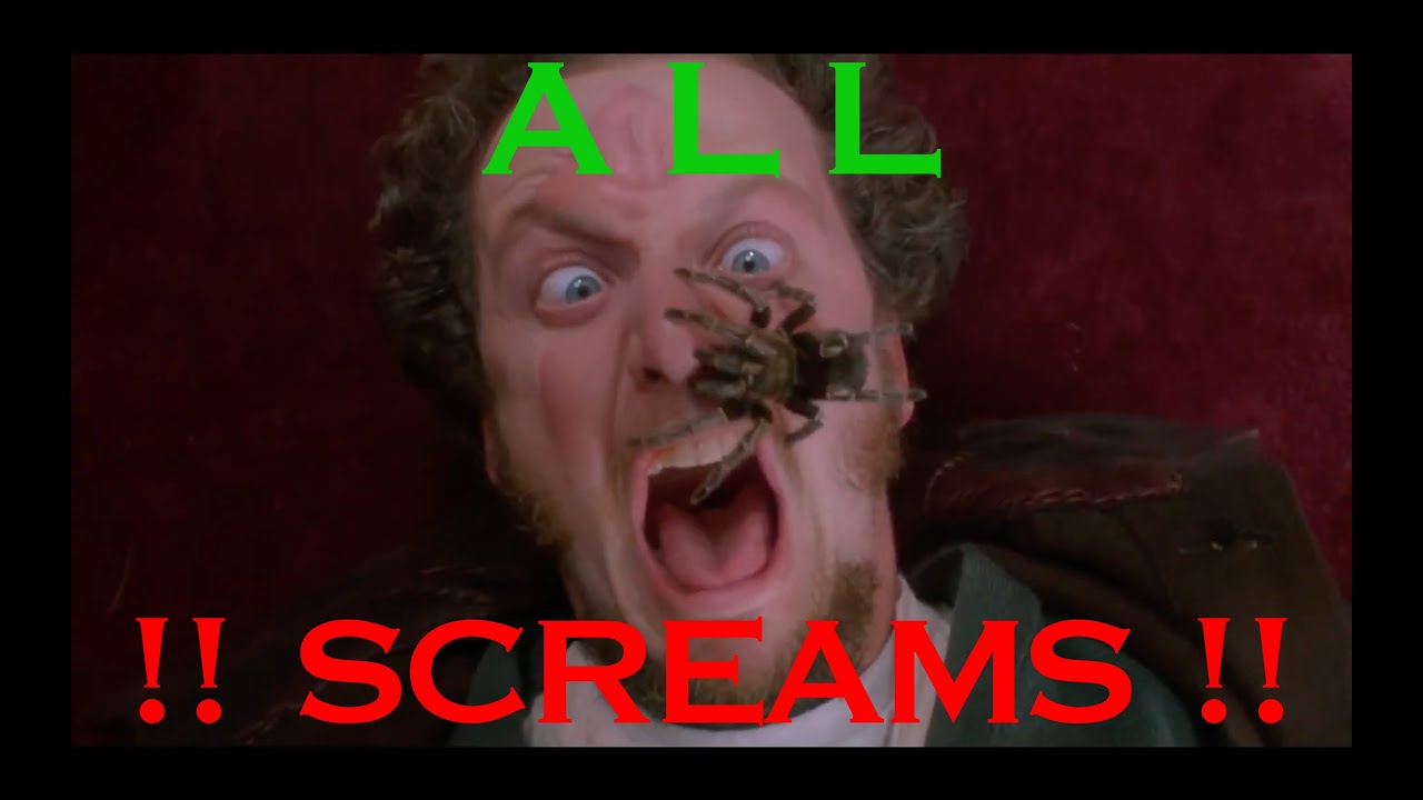 Home Alone all screams