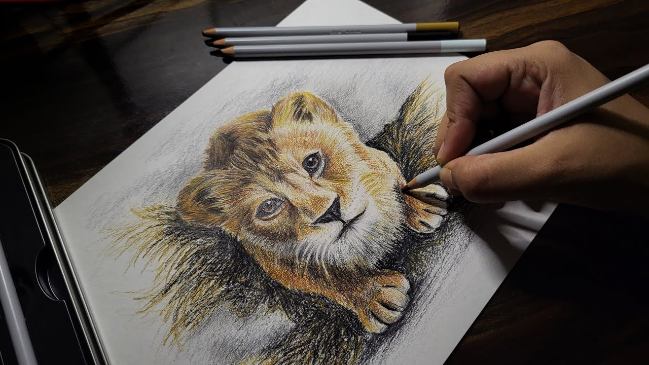 Drawing Mufasa: The Lion King - Timelapse | SAONI.ART.