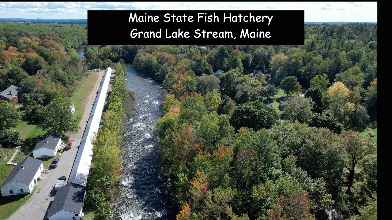 State of Maine Fish Hatchery. Grand Lake Stream, Maine. May 2022