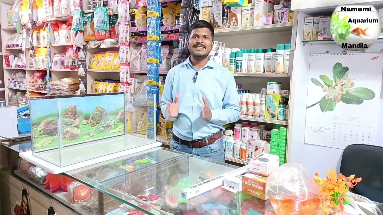 Fish aquarium ka setup kaise kare || How to setup a fish aquarium #aquariumsetup #fishaquarium  🐟🐠