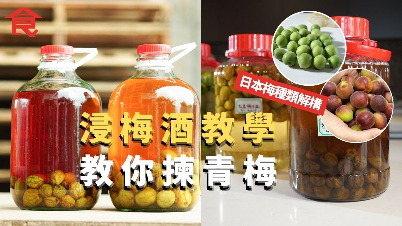 浸梅酒教學 解開釀梅酒三大迷思 教你揀青梅 日本梅種類解構 教你整酒釀梅果醬 #飲食專題 飲食男女 Apple Daily