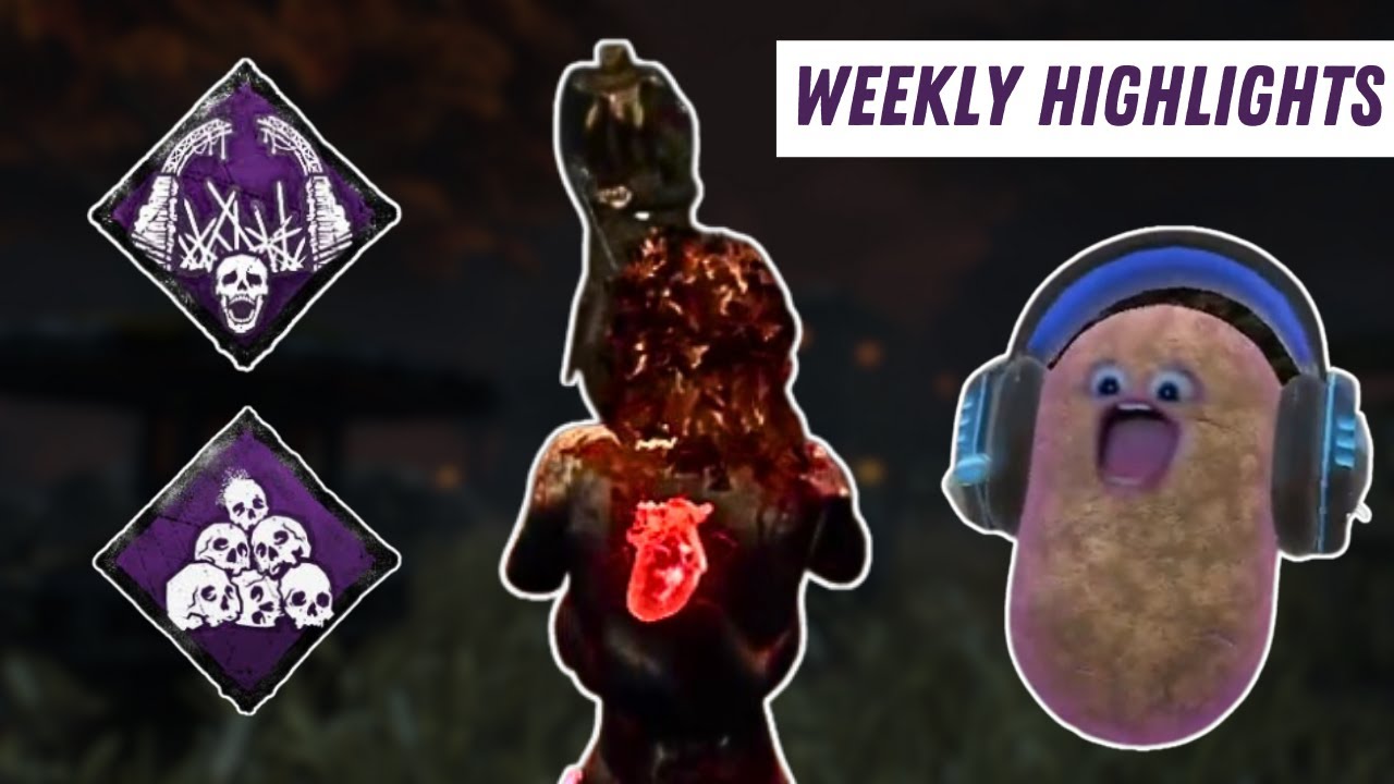 I should've just left... | Weekly Highlights