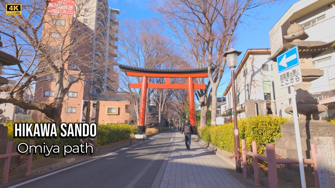 A Straight Line Into Silence: Walking Omiya’s Sacred Road | Japan 4K