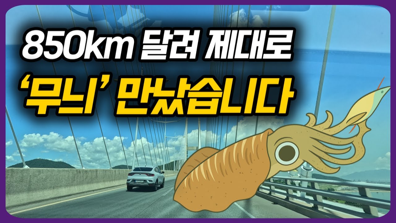 남해 팁런, 무늬오징어 입문 초보자때 알았으면 좋았을것들