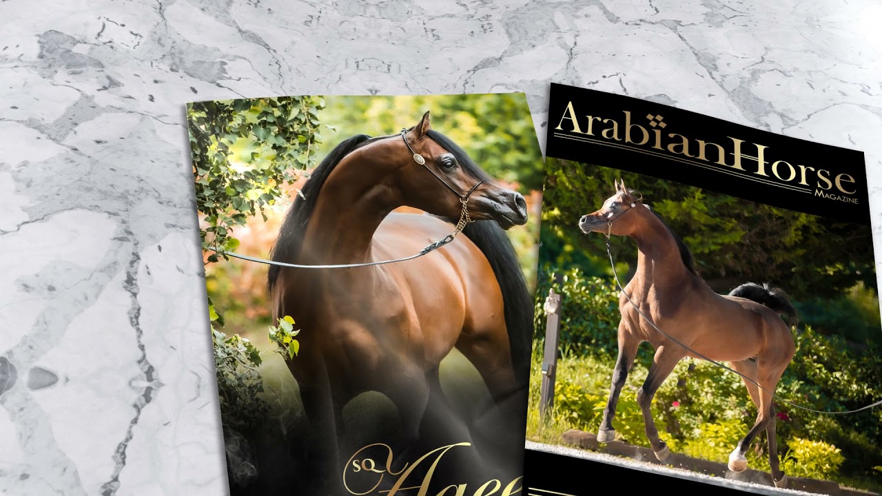 Arabian Horse Magazine | Video Promo N3_2021 Autumn Edition
