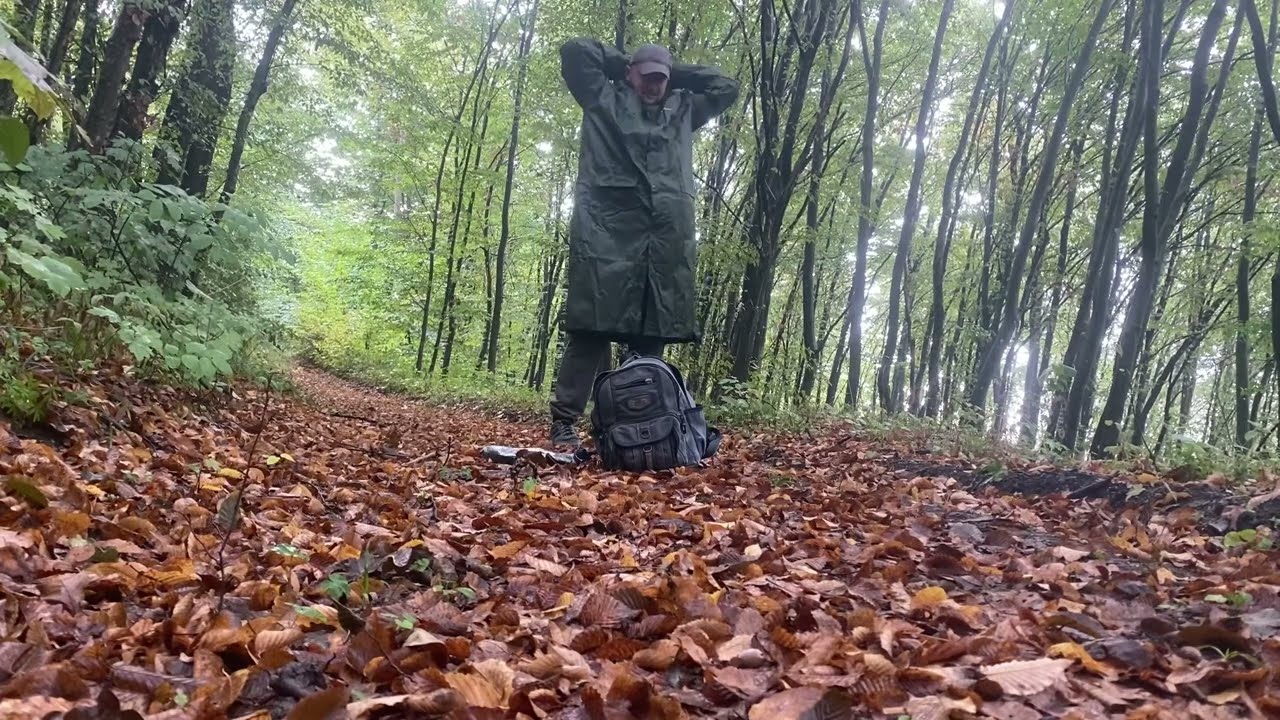 На самому виході з лісу чекають гриби..субота середина вересня ідемо в мокрий ліс 🌳