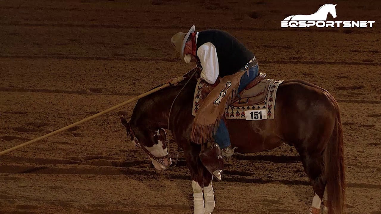 2017 National Western Stock Show Freestyle Reining - Bub Poplin
