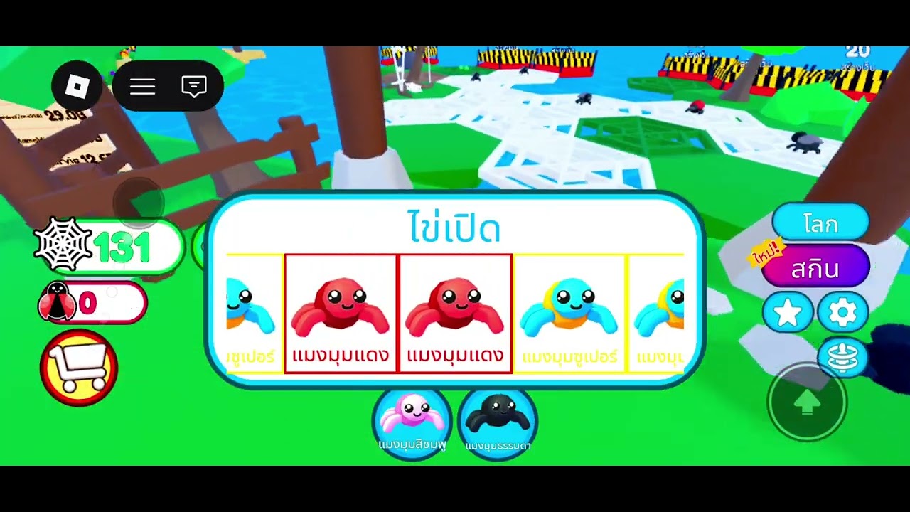 พาพ่อมาเล่นแมงมุม