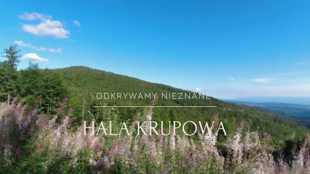 Hala Krupowa 1152 m n.p.m. - Beskid Żywiecki