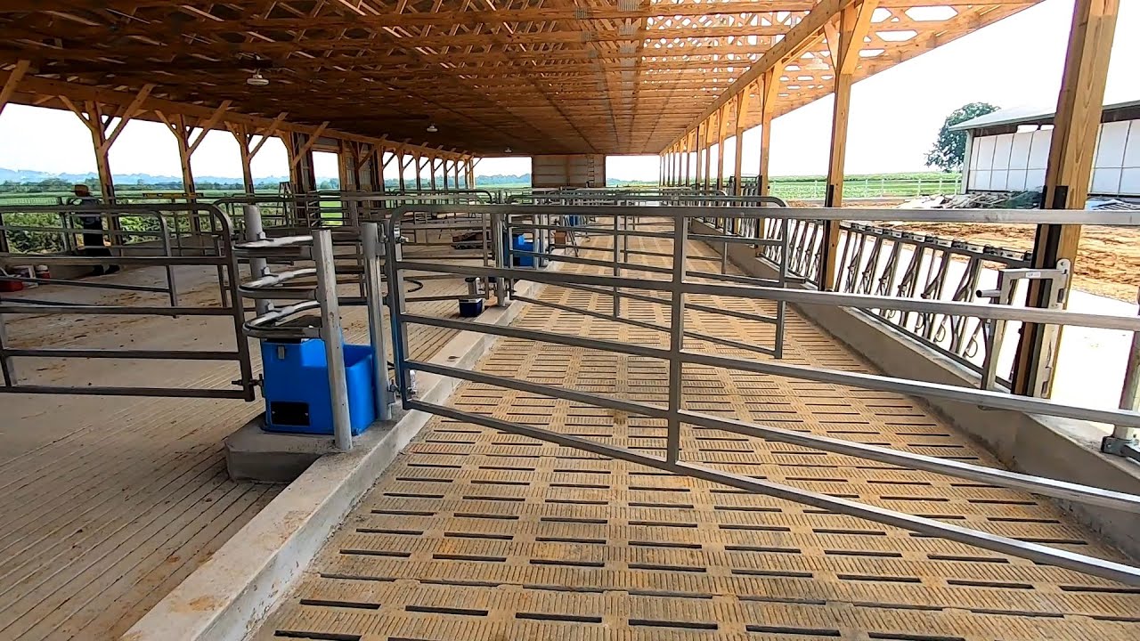 Gates are Installed & Hauling Calves