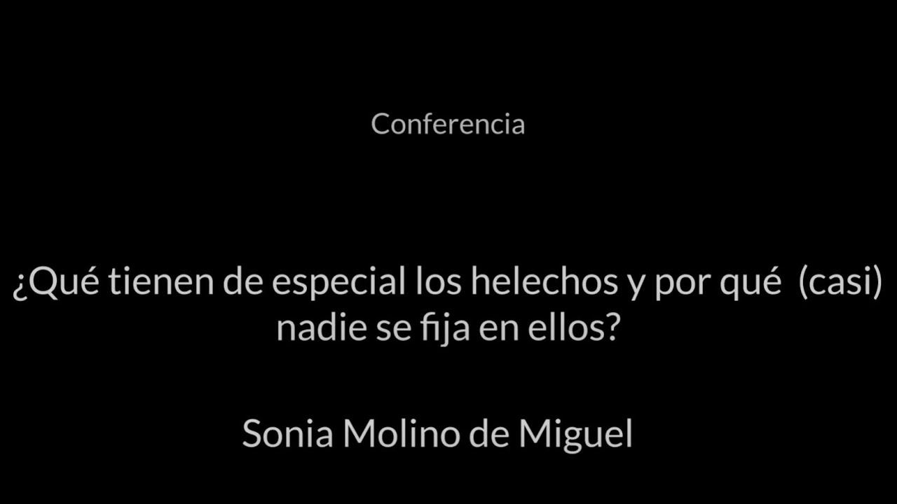 Conferencia 