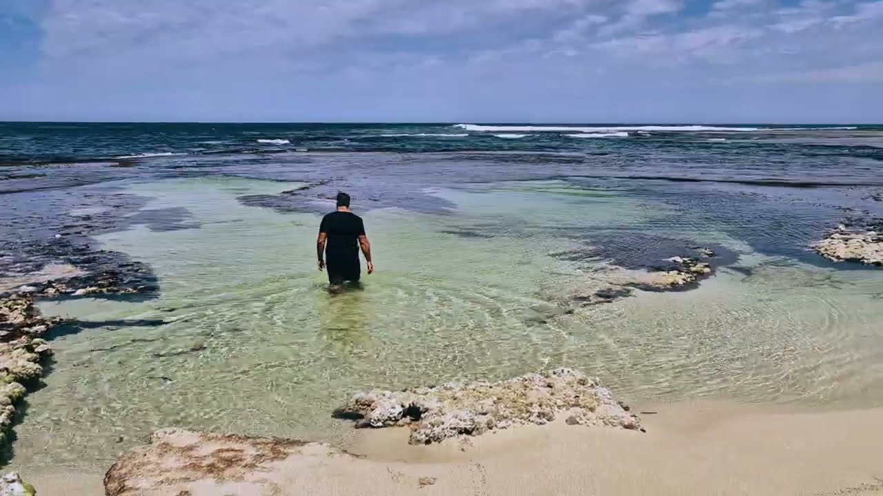This coast will make you want to move there. No talking 