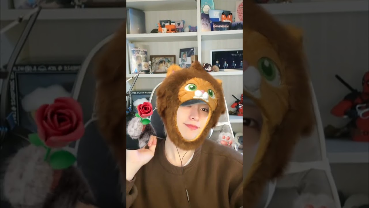 260210 nine tiktok live | onlyoneof_nine