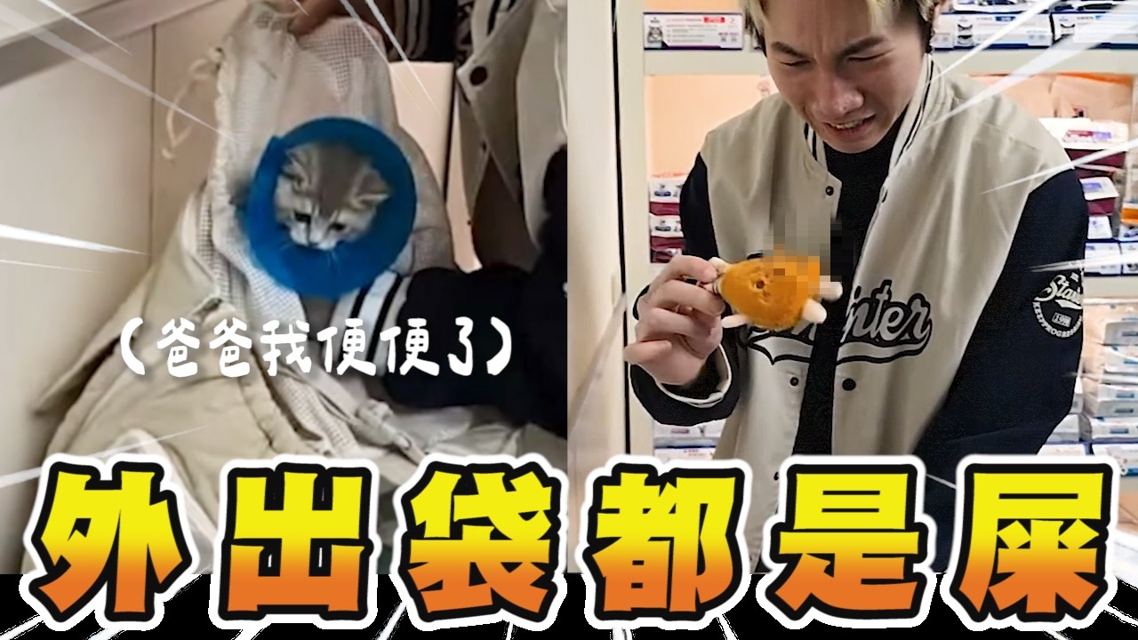 尼克星｜9萬8的小貓在外出袋拉屎.... 我第一次幫牠洗澡崩潰