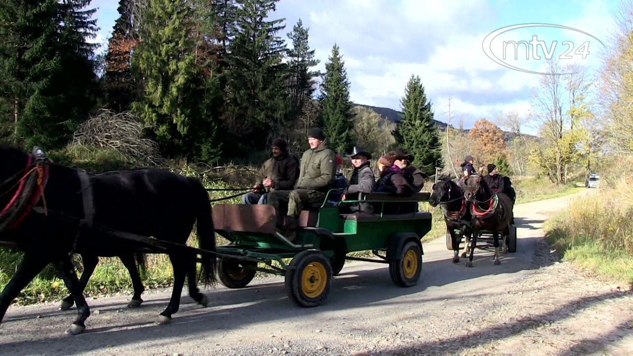 Konie Huculskie z Regietowa