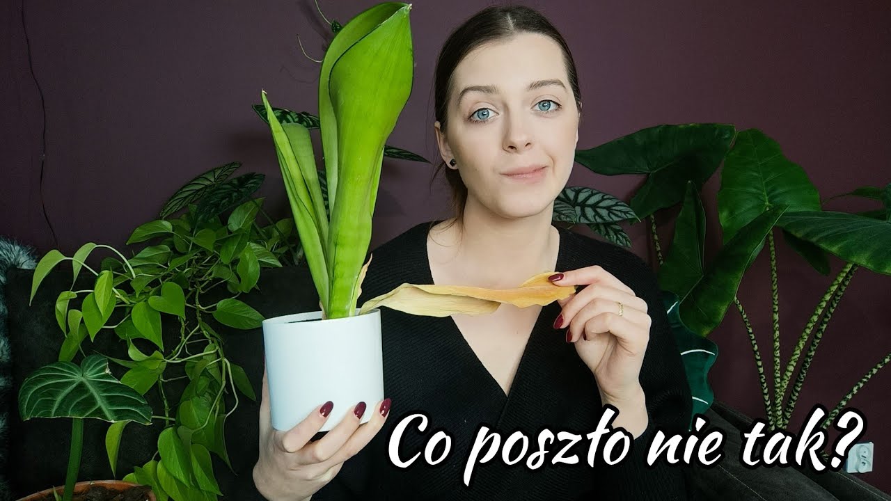 Największe zawody w 2022 😭  Czyli co poszło nie tak?